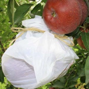 02-plastic-bags