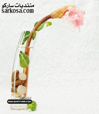 08acc1520a0f68089d53177565151baa