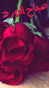 0bf4d7edb0c87d815264c5ea82e31c83