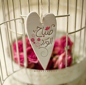 0c4ace5a6a4c35a9fefa2a57d8ab8cfd