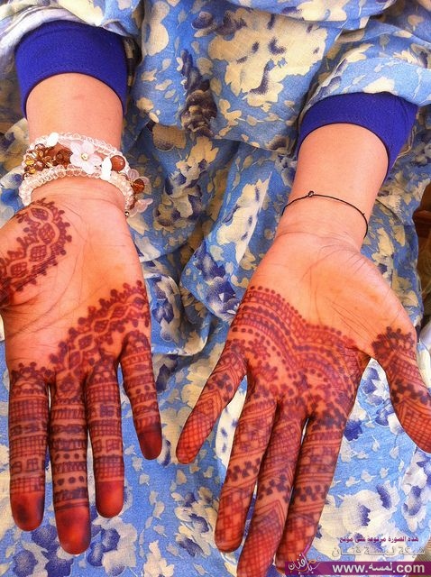 0dd43a7efe098cd7160093af1e104ee3