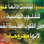 قسوة الطيبين 2014 قسوة الطيبين 2014