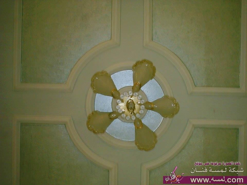 1017351_709141025780327_251550579_n