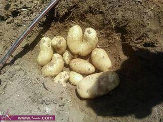 بر الوالدين 10256494 721255021258720 7738559702776894500 n بر الوالدين