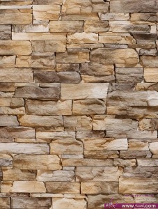 10299067_835577103123700_3964586986635983569_n-227x300