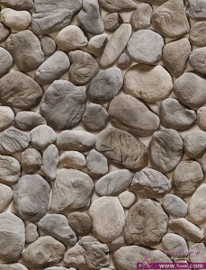 10300112_835577706456973_7668705320598669821_n-229x300