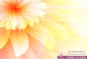 10301070_835576763123734_501645384397320422_n-300x205