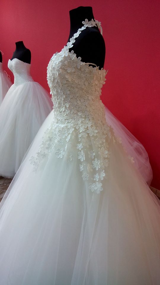 10365826_1566476920254818_4603543249559374298_n