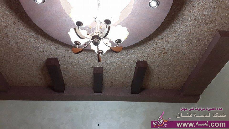 10580234_878574158837012_2862416979201077373_n