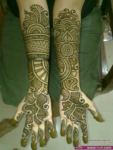 1175325_563110267059017_696319377_n