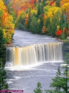 1225_163480563823201_1324511758_n