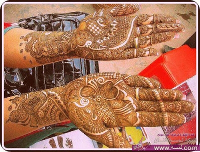 1237178_563858886982932_1331034189_n