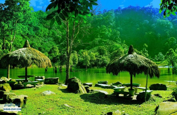 اروع صور طبيعية 2014 1336918836 2101 700x456 اروع صور طبيعية 2014