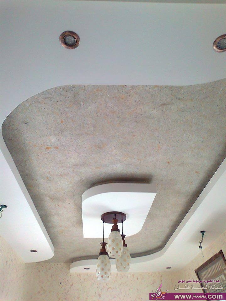 1393549_709141002446996_119537047_n