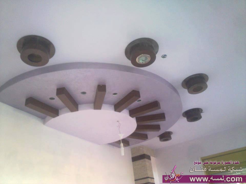 1424564_709139842447112_292732107_n