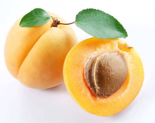 فوائد المشمش 1426137 534804926609323 823377397 n فوائد المشمش
