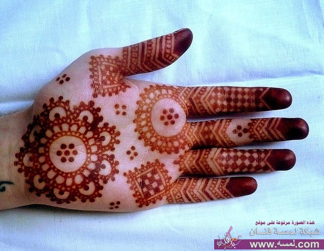 14ffef4b0ddd9504da1d592fc72b49c8