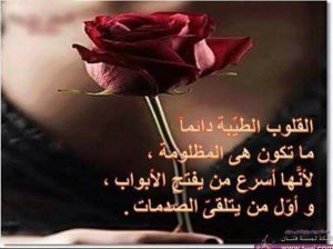 1507195_10154470775393647_9091441388348668339_n