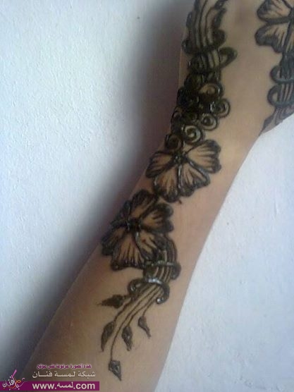 1908073_753631408026659_4691823696254633304_n