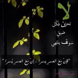 1486700_688554311169280_330286553_n