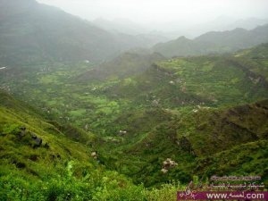 n4hr_12935977014-300x225