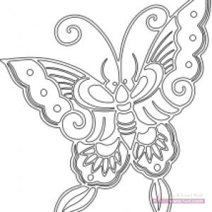 ButterflyStencil