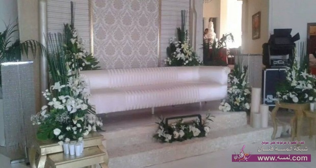 10513387_507511262684132_7245997384839804040_n-620x330