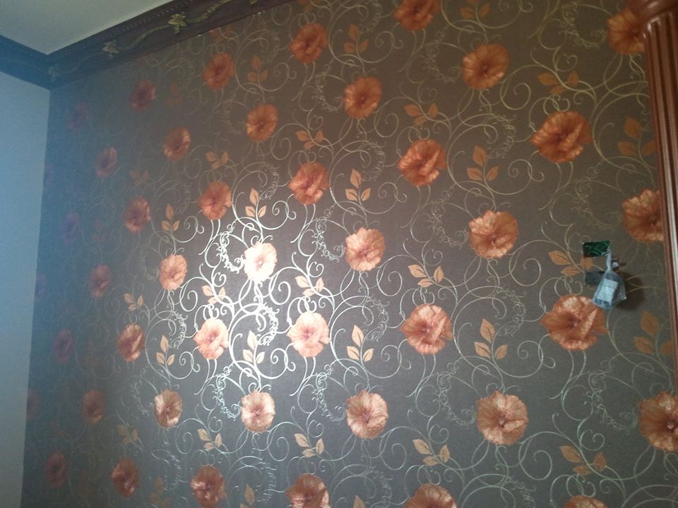 10410527_846068132083205_3495322814497385668_n