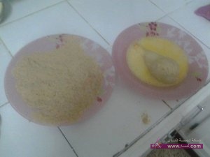 11160587_436007556571476_4116336517753156569_n