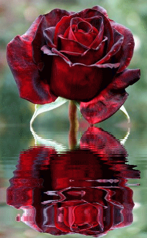 3dlat.com_14032569552