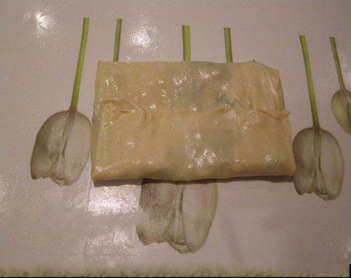 5ada03e3c97ff3c4f7ba488f927e00b7-1 - Copy