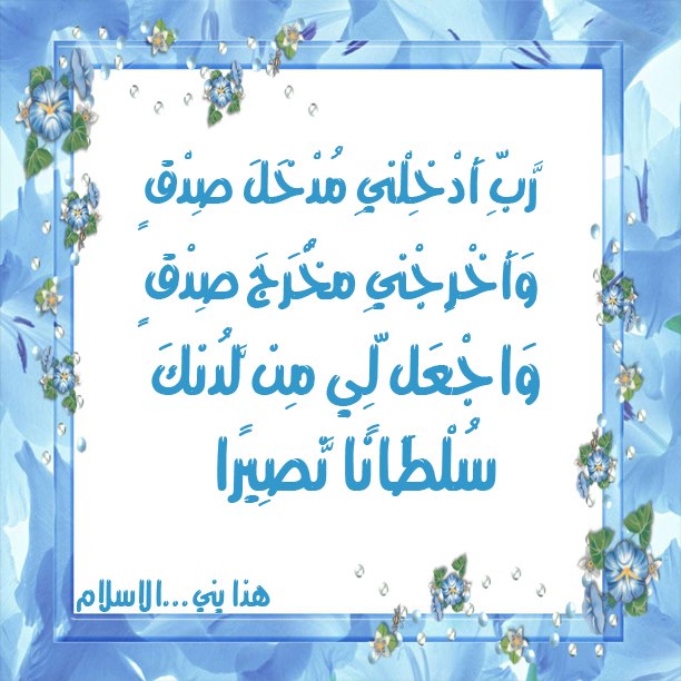 7hob.com13546474536411