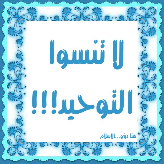 7hob.com13546474536912