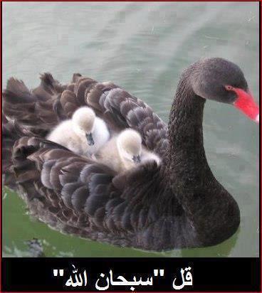 7hob.com13546474537914