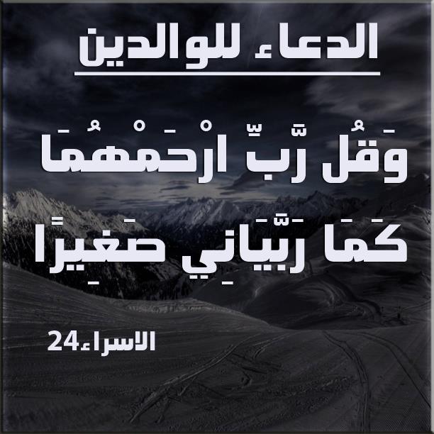 7hob.com13546474539117