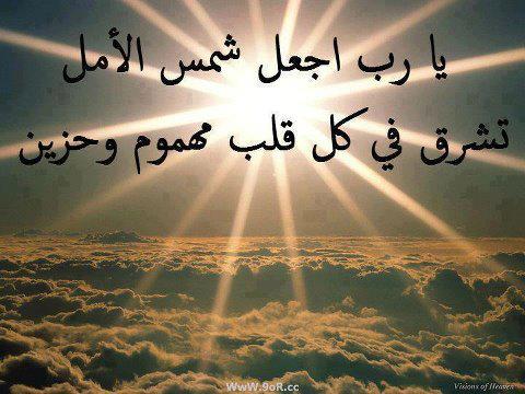 7hob.com13546474540119