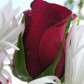 7hob.com1366658188794-120x120