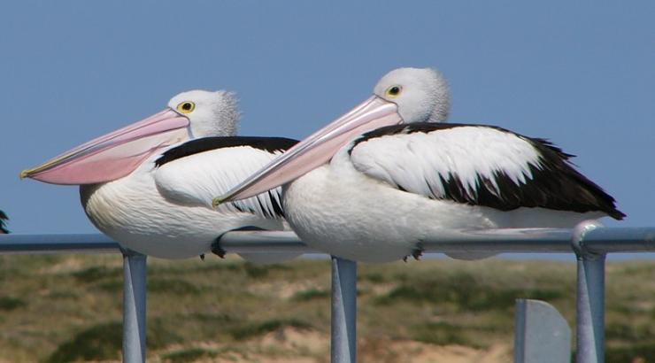 img_girls-ly1374321527_222