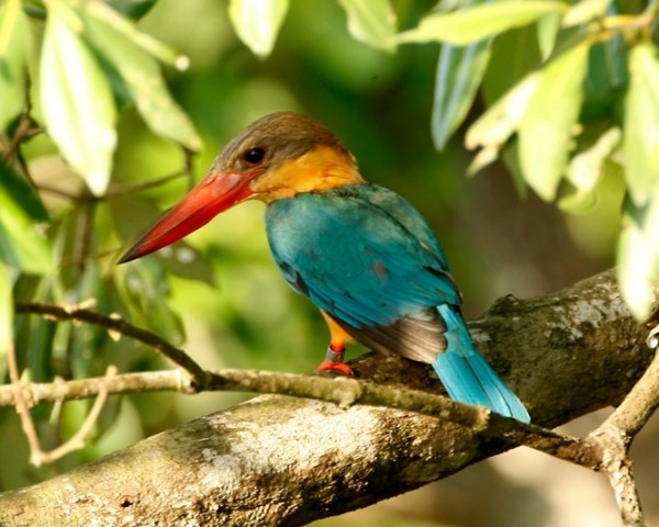 img_girls-ly1374321527_403