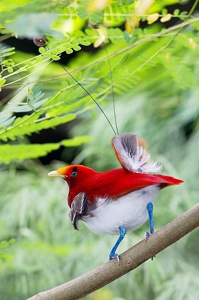 img_girls-ly1374321527_746