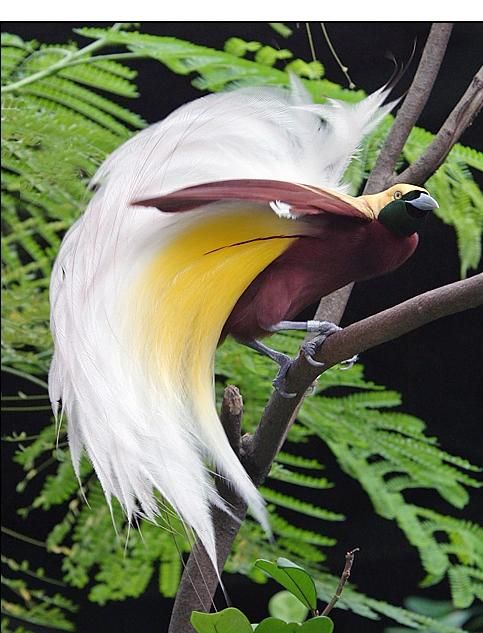 img_girls-ly1374321528_685