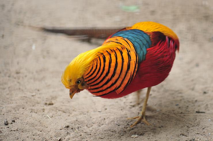 img_girls-ly1374321528_713