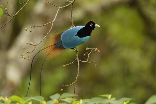 img_girls-ly1374321530_355