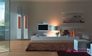 e31d4a392921c8aafd6a5a3e2c30fa82