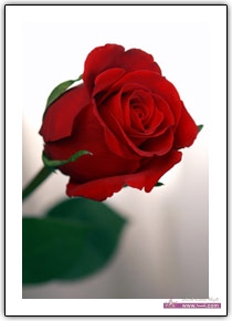 hwaml.com_1338232293_310