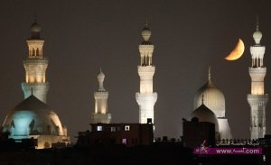 img_1373331185_524