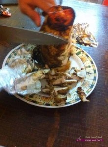 11168120_460381467467418_6908198503492003275_n