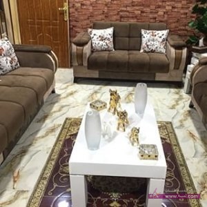 11379226_452984808209955_138652070_n