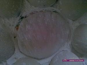 2011-04-27_11-53-41_555