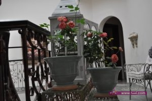 DSC_0540 - Copy